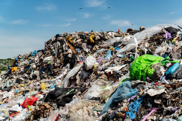 Plastic Scrap Buyers